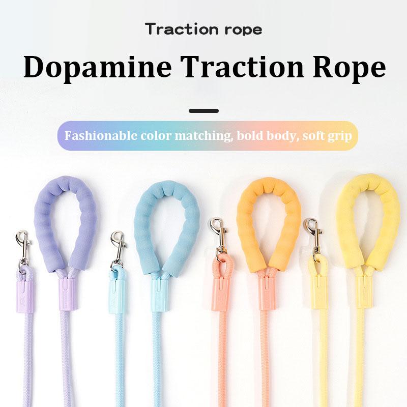 Nylon Dog Leash with Soft Sponge Handle Anti-Lost Pets Walking Lead 360°Rotating Clasp Traction Rope for Small Medium Large Dogs
