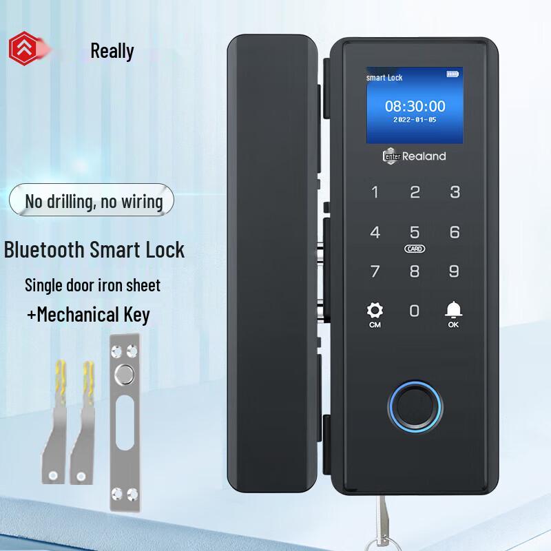 Realand ZD208D Smart Fingerprint Access Control Lock CN plug (adapter included)