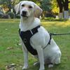 Adjustable Dog Harness Vest For Small, Medium Dogs No Pull, Escape Proof Reflective Easy Walk Puppy Harness, For Outdoor Walking