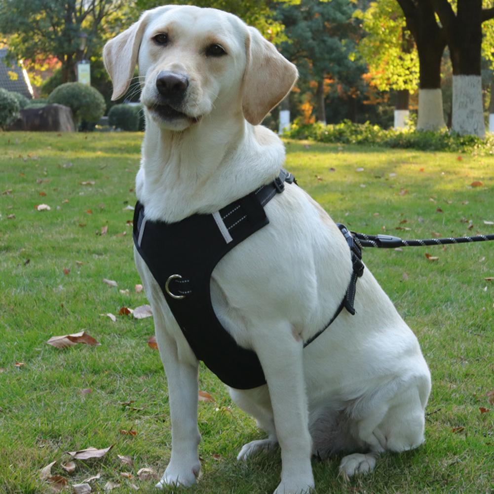 Adjustable Dog Harness Vest For Small, Medium Dogs No Pull, Escape Proof Reflective Easy Walk Puppy Harness, For Outdoor Walking