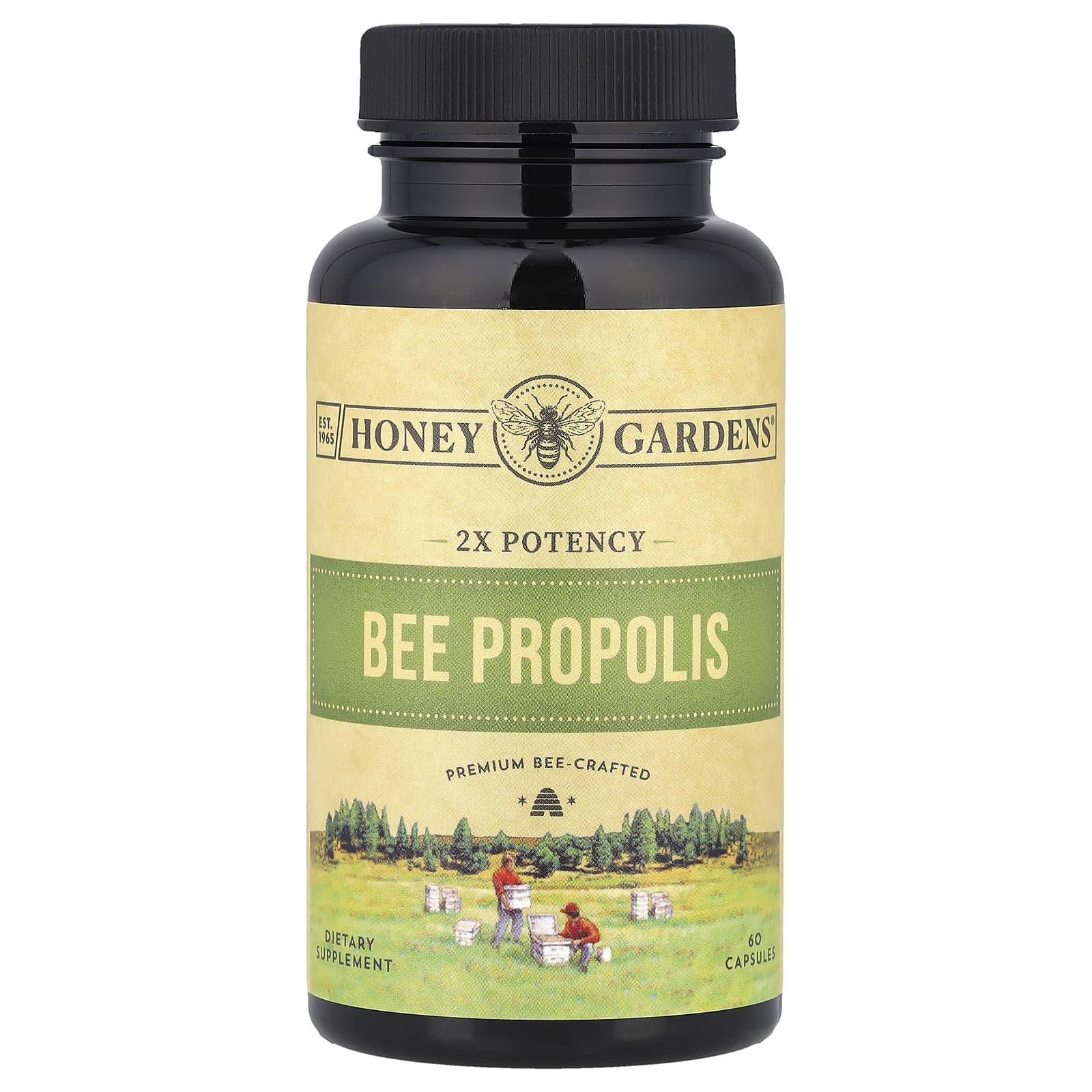 

Propolis, Double Potency, 60 Capsules (400Mg per Capsule)