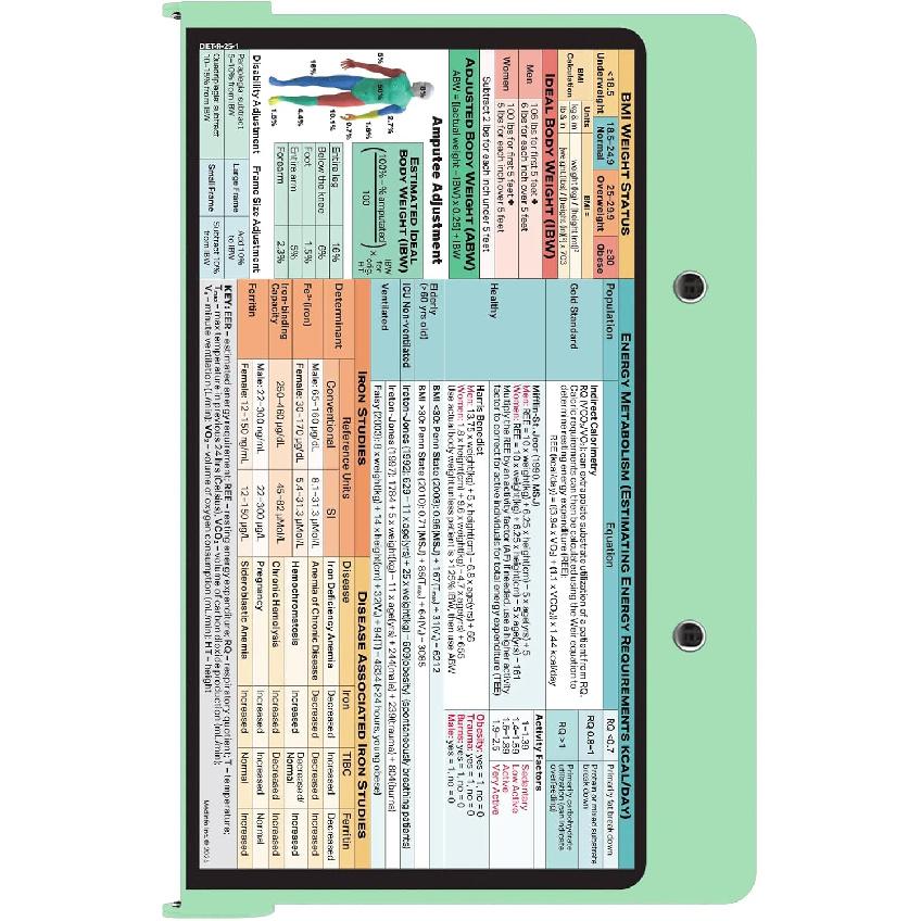 Whitecoat Clipboard® - Mint Dietitian Edition