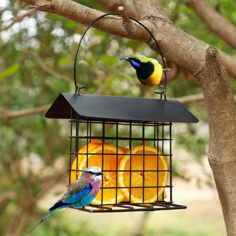 Rural Iron Bird Feeder Station Wildbird Shelter Place With Easy Refill Feature Ideal For Wild Bird Enthusiasts
