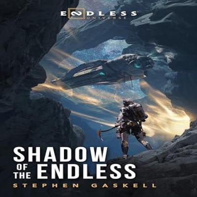 Shadow of the Endless by Stephen Gaskell Paperback Book 9781835410448