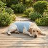 Soft Dog Cooling Vest Round Neck Dog Sunscreen Vest Fashion Pet Striped T-Shirt  Home Clothes