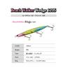 DUO Beach Walker Wedge 120S 38g ACC0028 Matte Chart