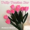 Colorful Pipe Cleaners, Bright Colors Chenille Stems for Crafts, DIY Flowers Twistable Pipe Cleaners, Creative Projects for Kids And Adults