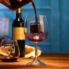 Aerating Red Wine Glass Gift with Built in Aerator Reusable, Sommelier Creative Glasses Set for