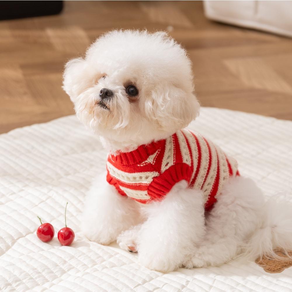 Pet clothes autumn and winter christmas needle red knitted cherry sweater teddy bear small dog two-legged dog clothes
