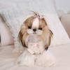 Pet Spring Dress Cat Spring Floral Tank Top Skirt Home Clothing Cute Teddy Small Dog Clothes Puppy for Small Dogs