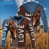 Winter New Sweater European and American Style Lion Animal 3D Three-dimensional Printing Pattern Large Size Loose Sweater