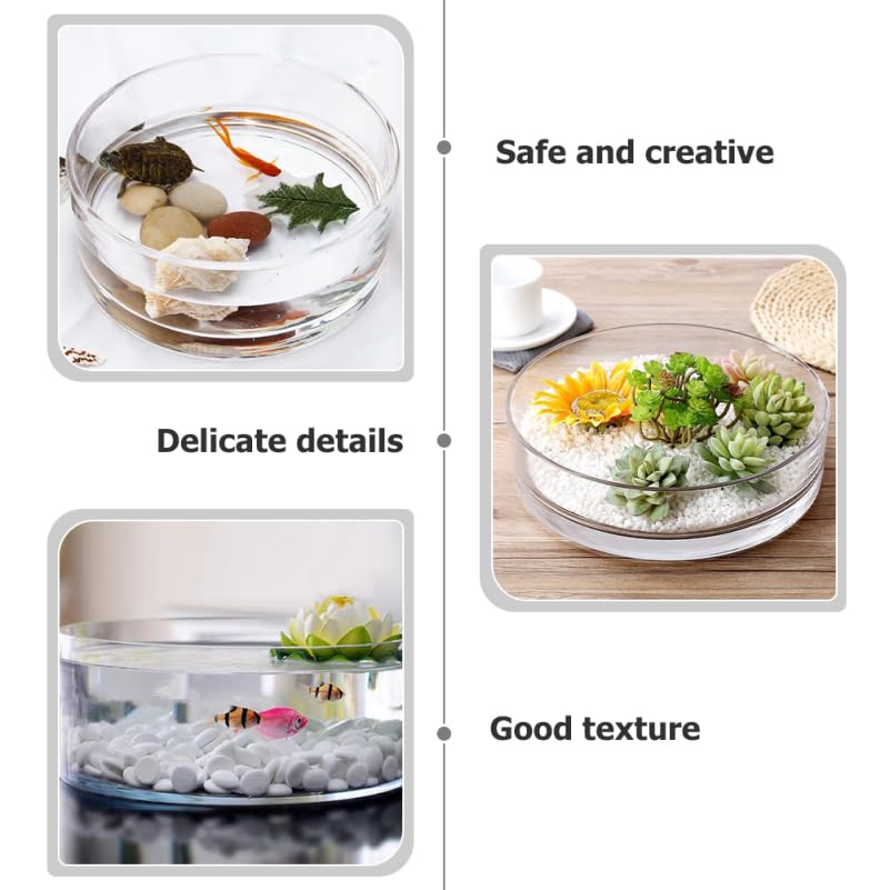 HANABASS Round Glass Terrarium Vase, Transparent Galantar for Hydroponic Cultivation, 3.15" Diameter, 5.91" Height, Interior Decor, for Succulents