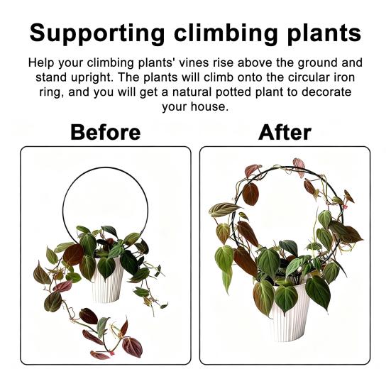 Plant Circle Trellis Climbing Plants Coated Wire Trellis Planter Insert Heart Shape Trellis Small Plant Support Stakes for Flowers Houseplants Garden