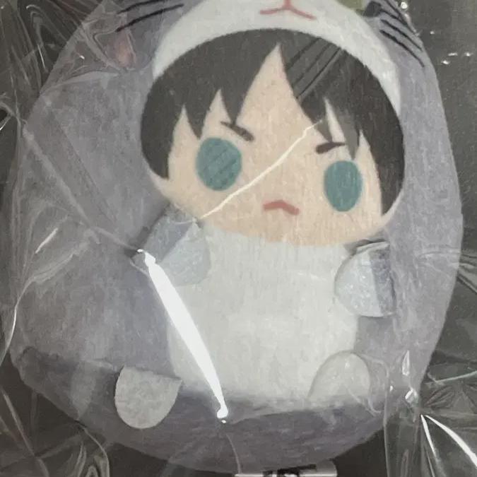 

Attack On Titan Eren Tenorins