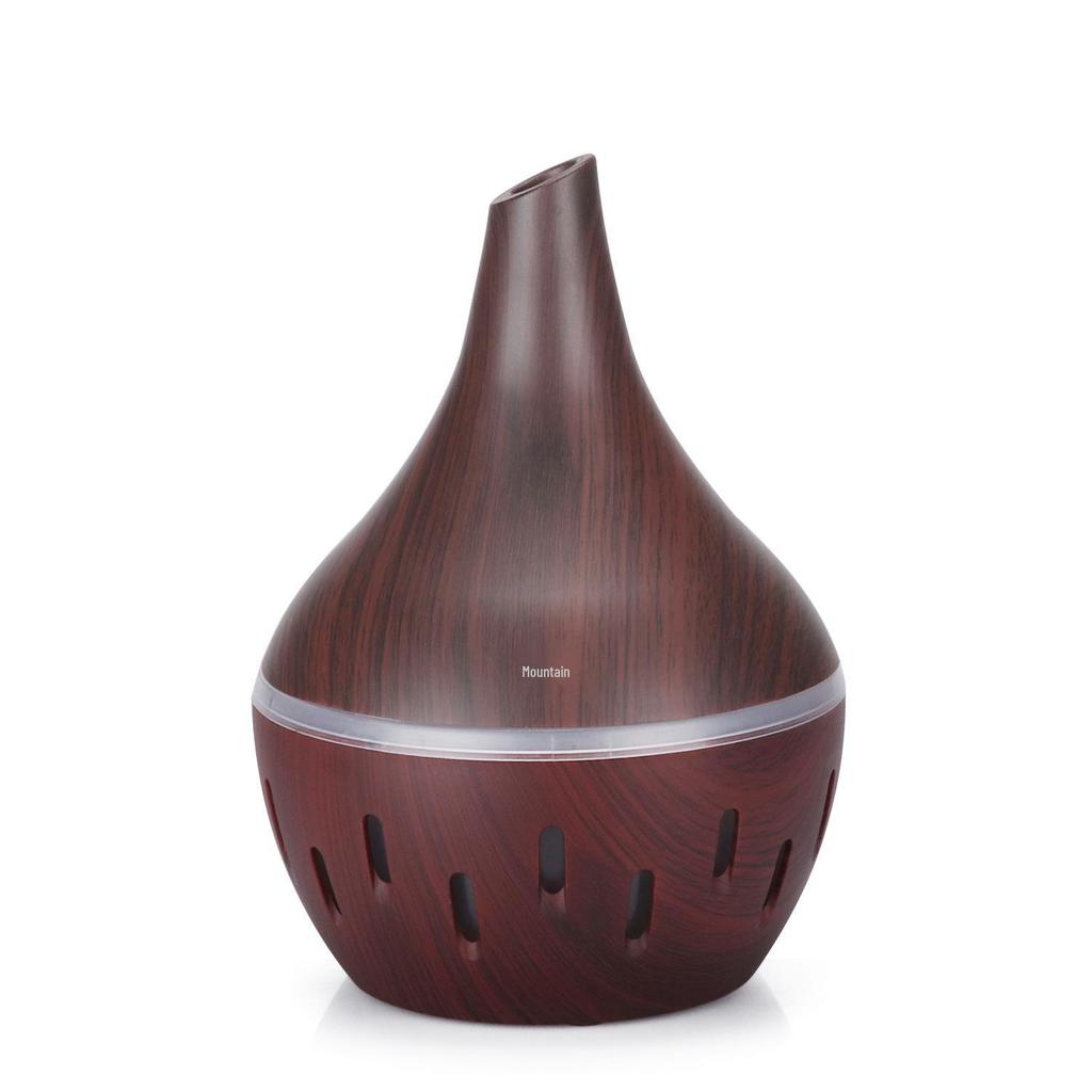 USB Rechargeable Indoor Air Purifier & Humidifier Atomizer