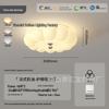 Bauhaus Full Spectrum Feather Light with Eye Protection for Bedroom, Study, Aisle, and Balcony