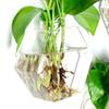 Hydroponics Plants Wall Hanging Vase Transparent Plant Propagation Vase  for Home Office Decor