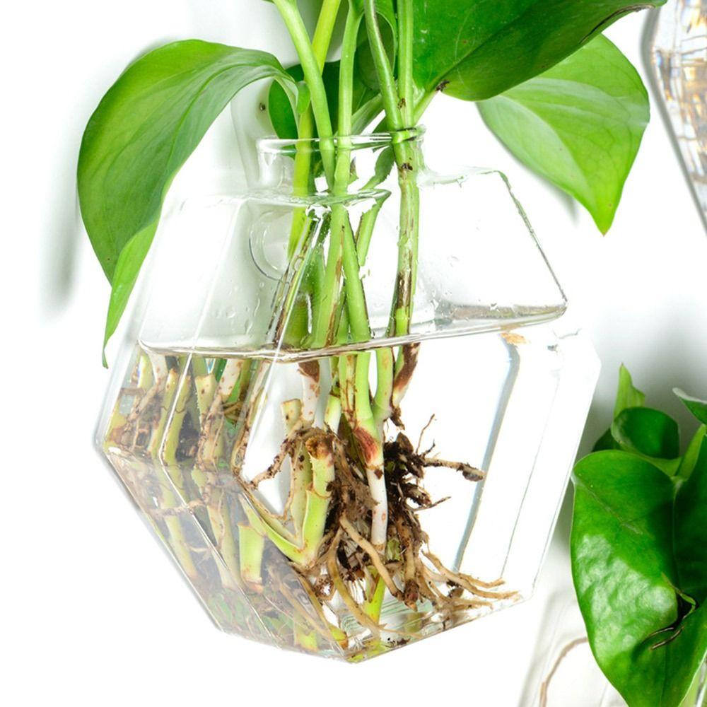 Hydroponics Plants Wall Hanging Vase Transparent Plant Propagation Vase  for Home Office Decor