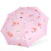 Creative Fruit Automatic Open/Close Umbrella with Sunscreen for Rain or Shine