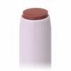 CANMAKE Stay-on Balm Rouge 16 Earl Gray Leaf 2.8g Lipstick