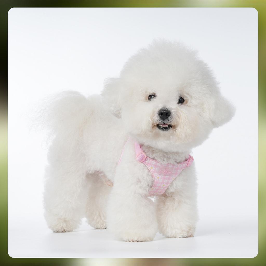 & Co. The Simply No-Pull Dog - Size Small - Vest to Stop Pulling & Walk Easy - Comfortable Leash Training Product w