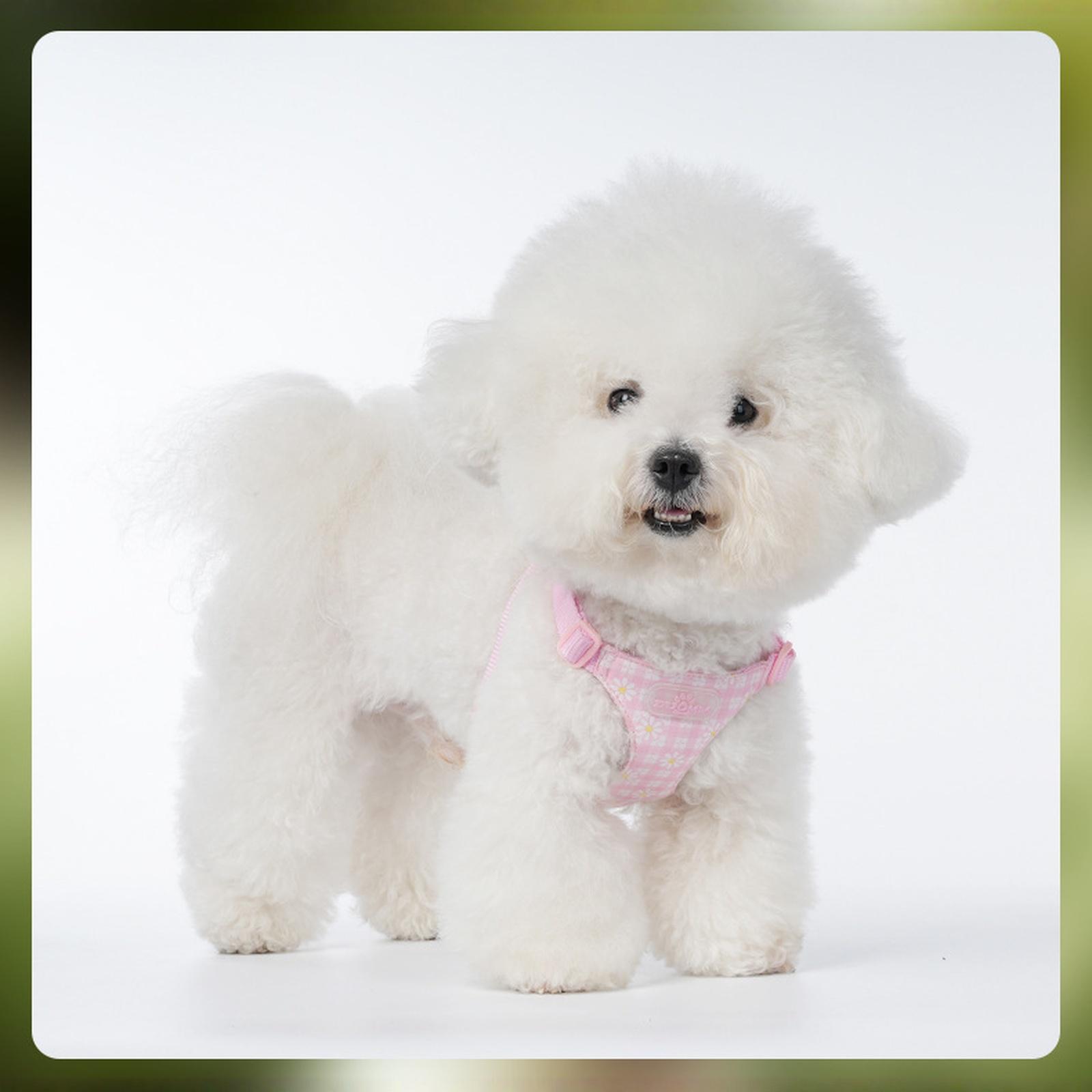 и Ко. Просто Собака Без Рывков - Размер Маленький - Жилет для Предотвращения Рывков и Легкой Прогулки - Удобное Средство для Обучения Поводку с XS розовый