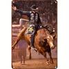 Cowboy Wild West Retro Metal Wall Art Sign Home Decor 20x30cm
