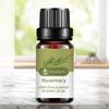 10ML Rosemary Essential Oil Moisturizing Rosemary Single Massage Oil for Beauty