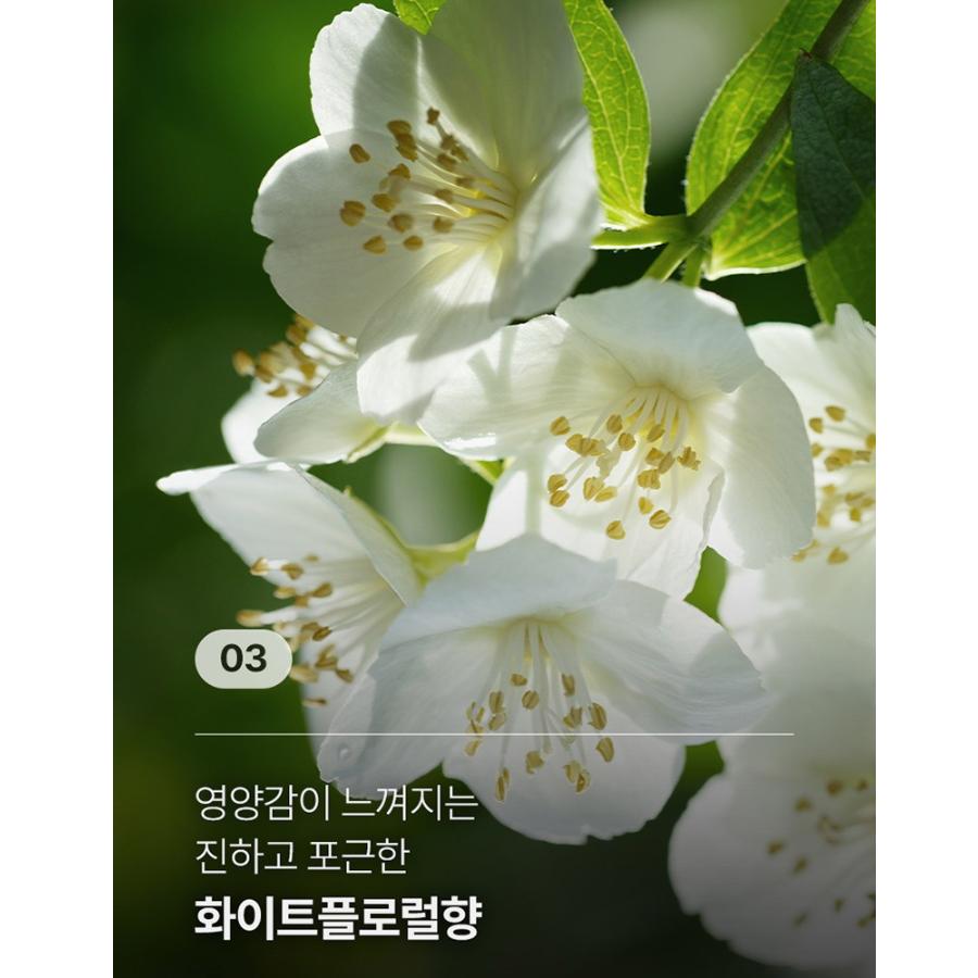 RYEO  Black Bean Hair Root Nutrition Shampoo 820ml