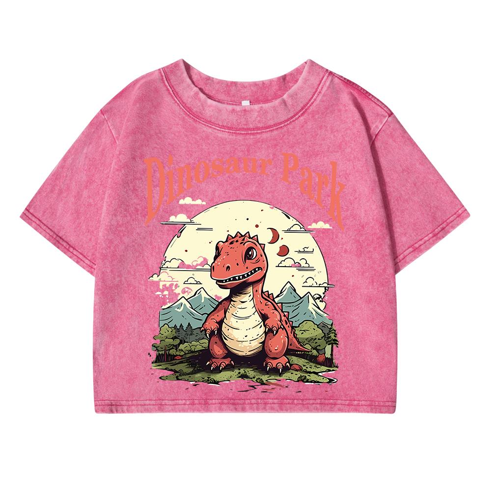 Dinosaur Park Cartoon Print Women Washed Short Tshirts Summer T-Shirt Breathable O-Neck Tee Shirts Soft Oversize Clothes