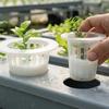 Hydroponic Vegetable Seedling Planting Basket Round Plant Growing Net Nursery Pots Garden Plants Soilless Plastic Basket Holder