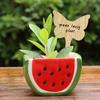 30Pcs Wooden Garden Markers Stakes Heart/Butterfly Shaped Plant Labels Herb And Vegetable Plant Tags Sticks For Indoor Flowerpot