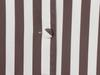 Elegant Women's Long Sleeve Striped Doll Collar Shirt