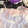 Sexy Hollow Bra French Ultra Thin Lace Embroidery Women Lingerie Set Underwire Push Up Bras Breathable Underwear and Panties Set