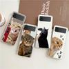 Transparent Phone Case For Samsung Galaxy Z Flip 3 4 5 6 7 Hard Folding PC Z Flip3 Flip4 Cover Funny Cartoon Korean Cat Couple