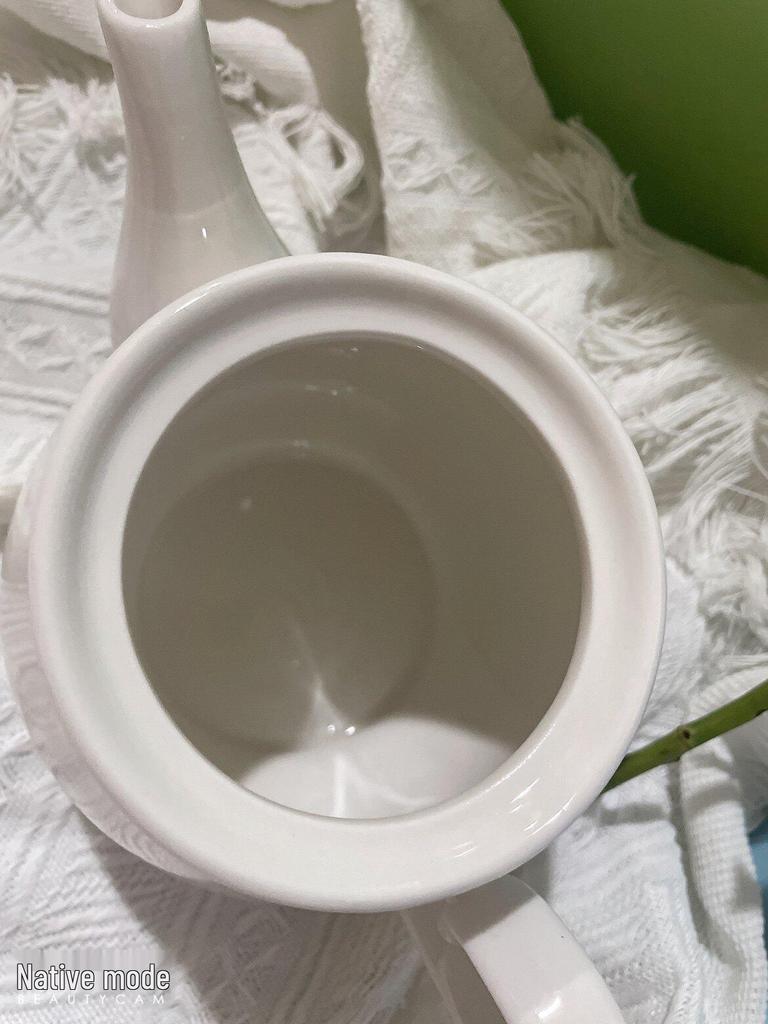 Bule de Chá Cerâmico Francês Estilo Nórdico - Resistente ao Calor, Branco Puro