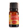 Grenzüberschreitender Aroma-Diffusor für ätherische Öle für Massage & Aromatherapie