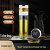 Portable Tea Infuser Double Wall Glass Bottle