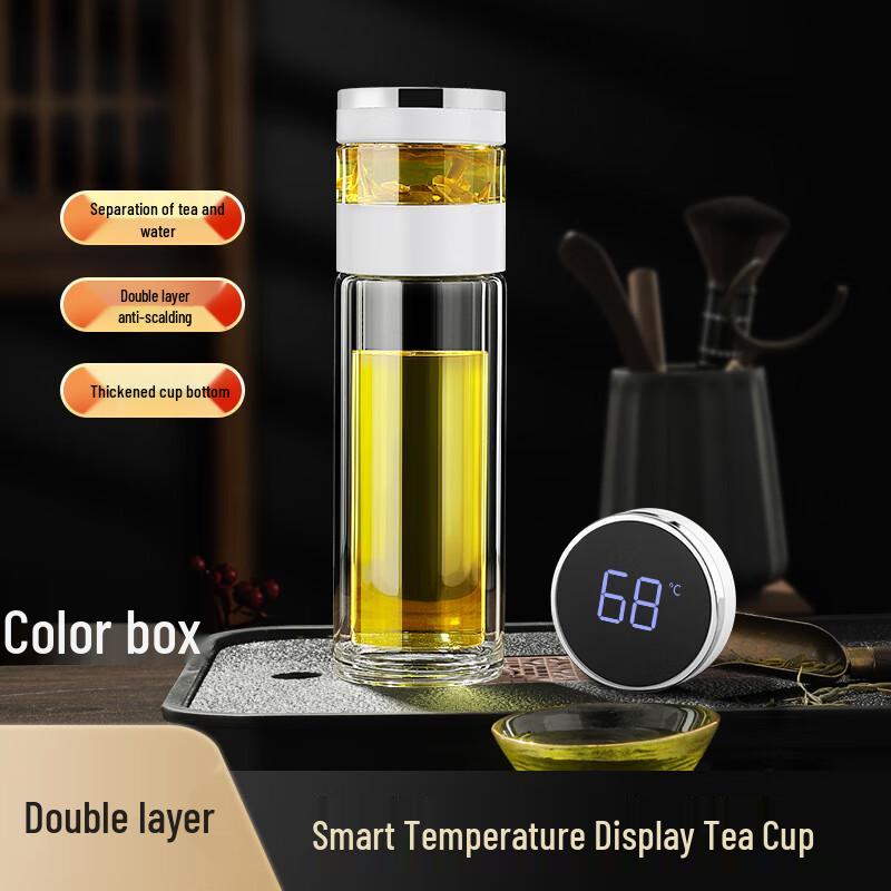 Portable Tea Infuser Double Wall Glass Bottle