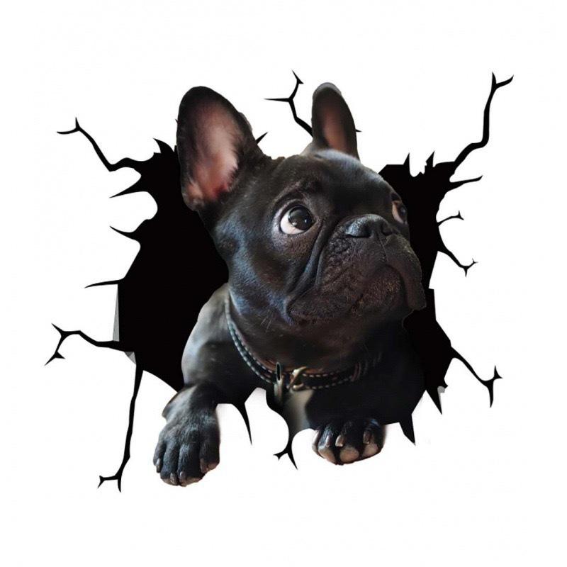 

Креативный дизайн трещин животного - Персонализированная стеклянная наклейка с собакой для стены и автомобиля 20x20 cm