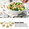 5Pcs 304 Stainless Steel Ice Cream Scoop Tea Dessert Spoon Cream Short Spoon Kitchen Utensils