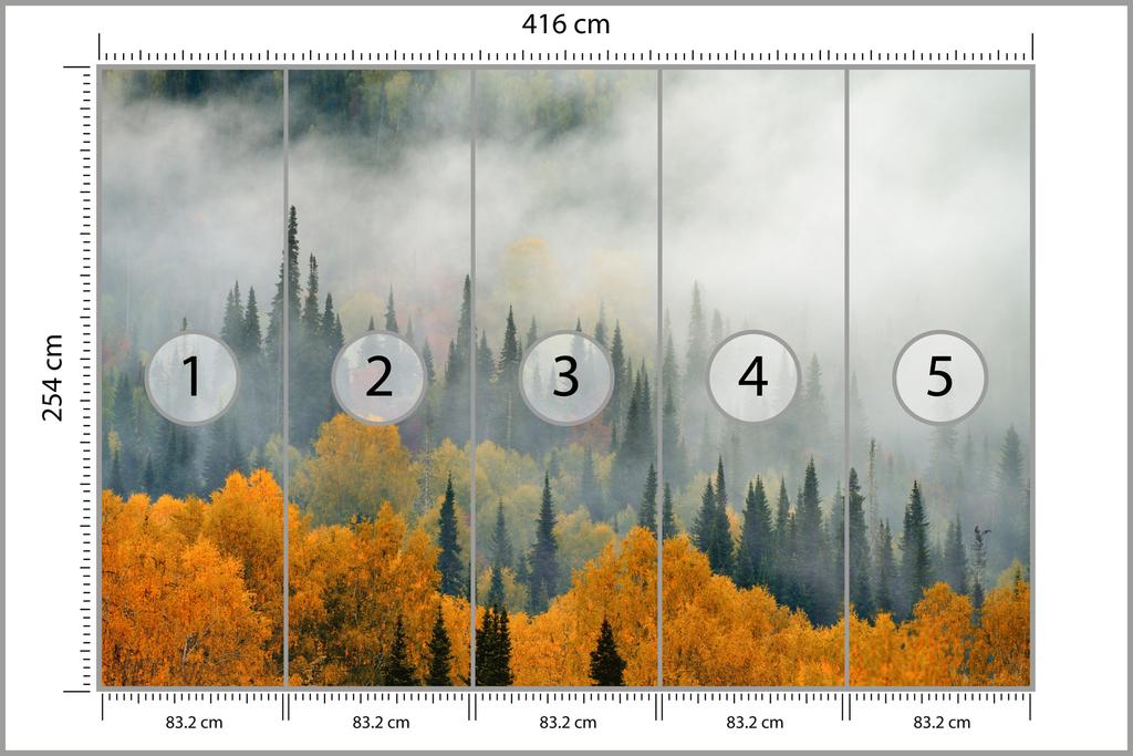 Photomural Fog Over Autumn Forest Self-Adhesive Mural 416x290