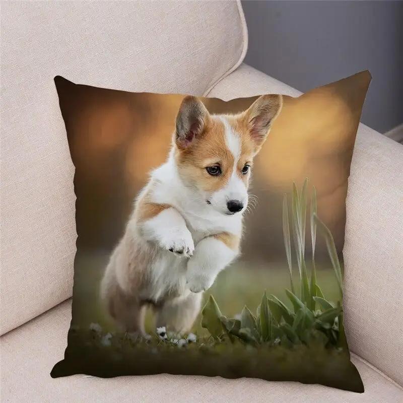Cute Welsh Corgi Pembroke Dog Pillow Case Cm Cushion Cover Polyester Decorative Pet Animal   Car Sofa Home