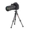 SWFOTO Compatible 25mm Ball High Load Capacity Low Center of Ball Head with Plate Arca-Swiss Head, (5kg), Gravity, Arca-Swiss XB-25