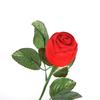 Pop 1Pc Red Rose Flower Velvet Jewelry Storage Box Engagement Ring Box