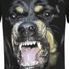 Givenchy Graphic print T shirt BM705K3Y1P-001