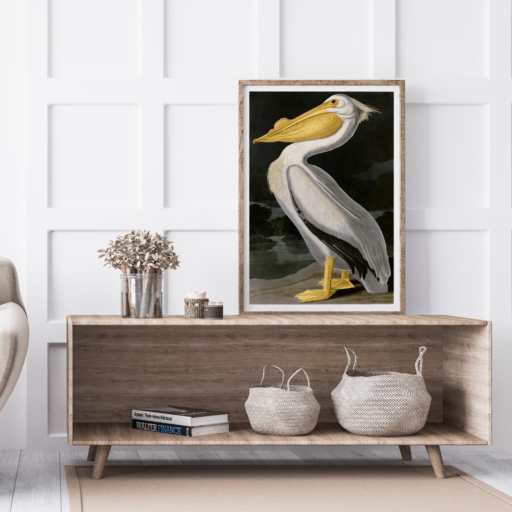 Poster Pelican Bird Vintage