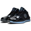 Air Jordan 2010 'Black University Blue' Men's 387358-003