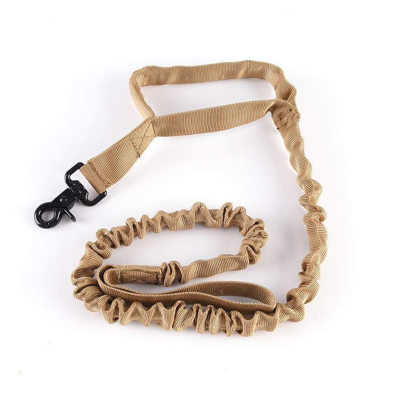 bungee leash dog training