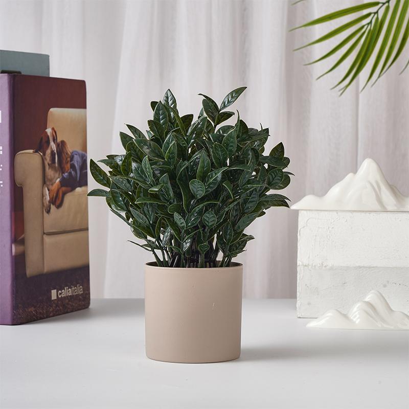 Simulation Bonsai Desktop Ornament Home Garden Small Mini Greenery Micro Landscape Home Decorations